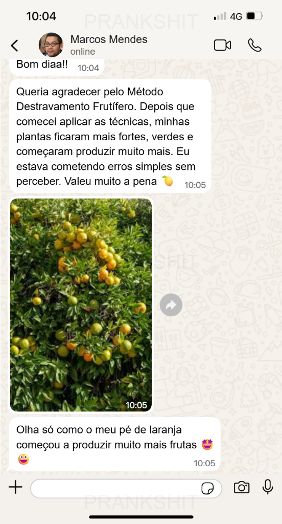 Depoimento do Marcos